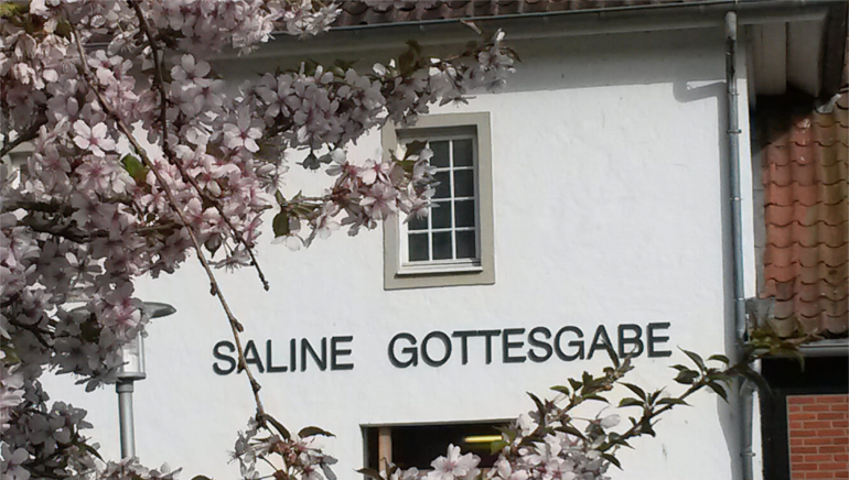 Artikel29