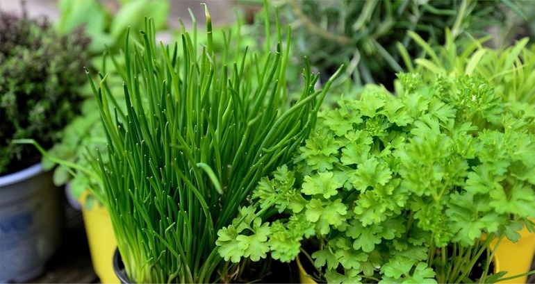 Artikel39