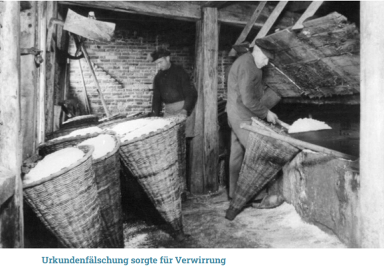 Artikel6